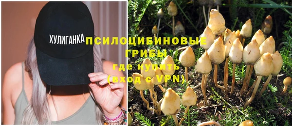 стаф Баксан