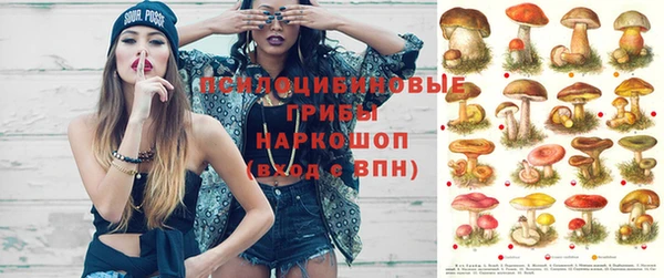 стаф Баксан