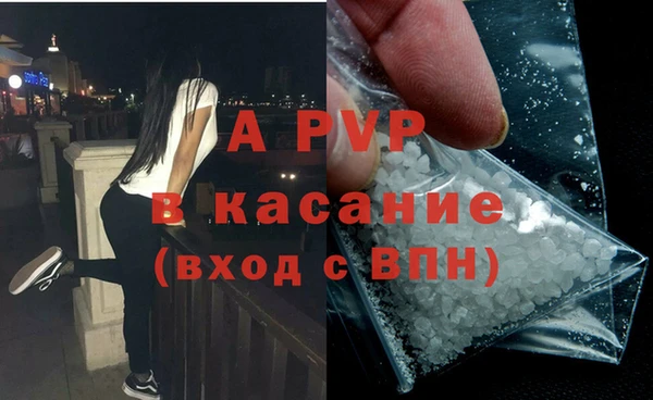 стаф Баксан