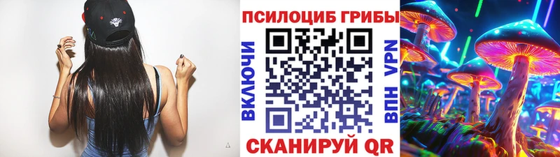 Псилоцибиновые грибы прущие грибы МЕГА как войти Лениногорск